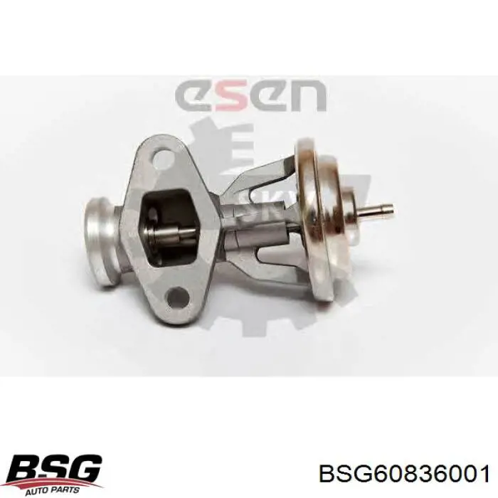 Купити BSG60836001 BSG Прилади управління системи рециркуляції