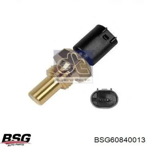 Датчик температури палива BSG60840013 BSG