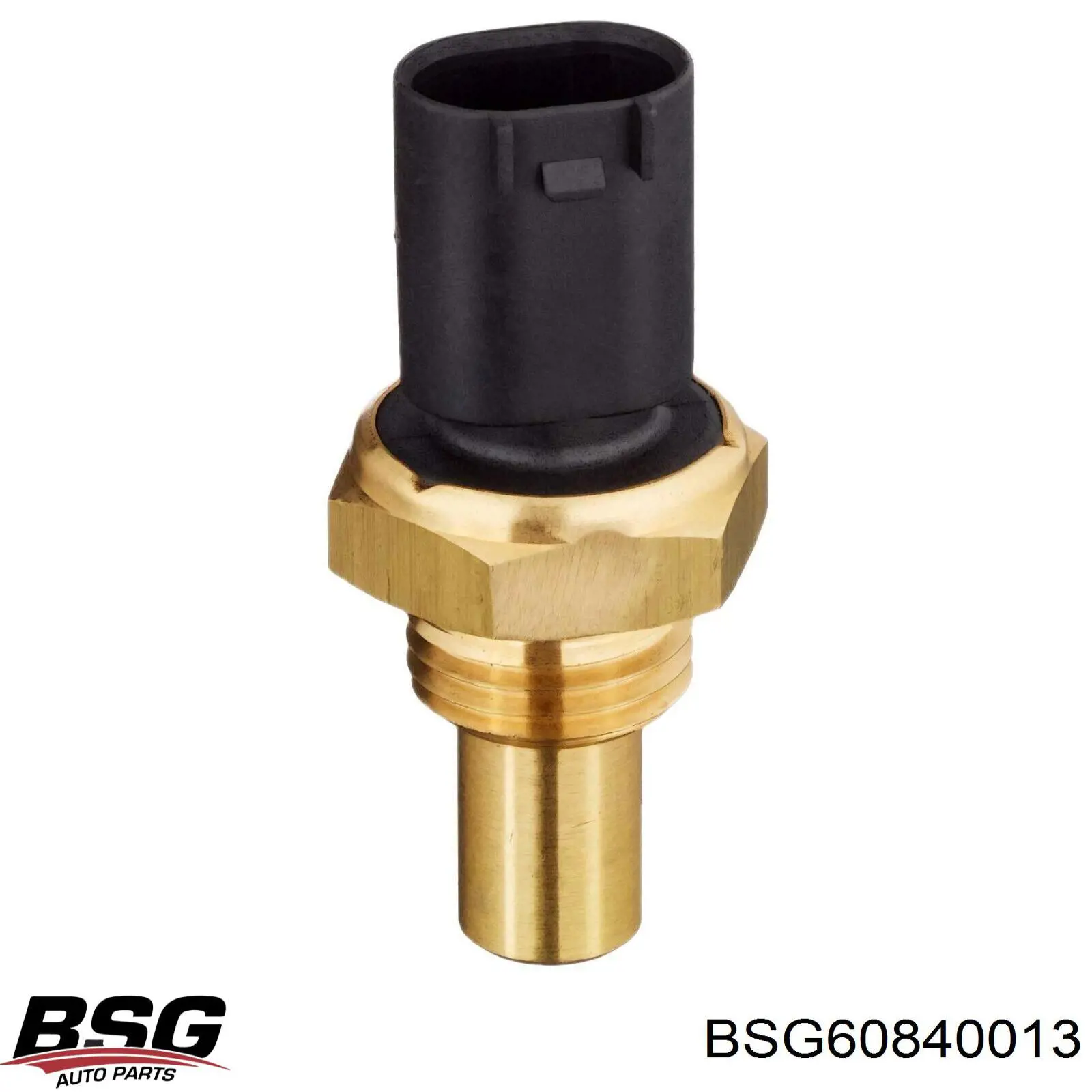 Купити BSG60840013 BSG Датчик температури палива