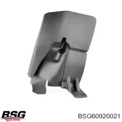 Бризковики задній, правий BSG BSG60920021 ціна, від 9.93 USD