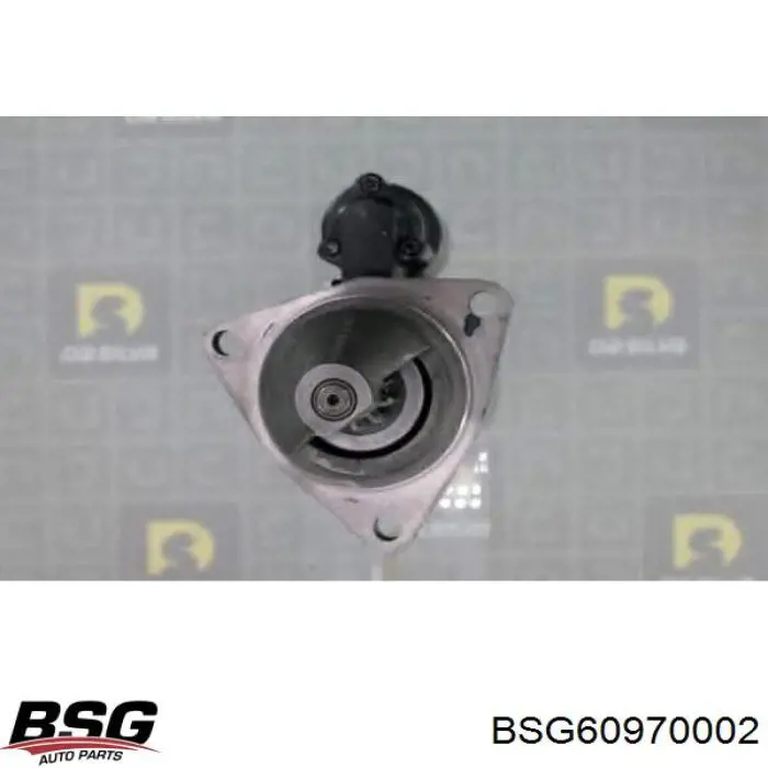 Купити BSG60970002 BSG Ручка двері бічної/зсувної зовнішня