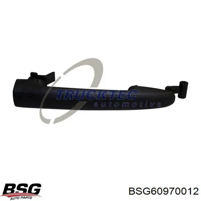 Купити BSG60970012 BSG Ручка двері бічної/зсувної зовнішня