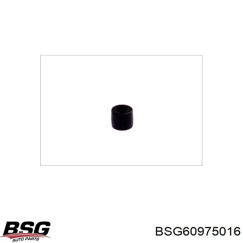 60975016 BSG ролик двері бічної/зсувної, правий центральний