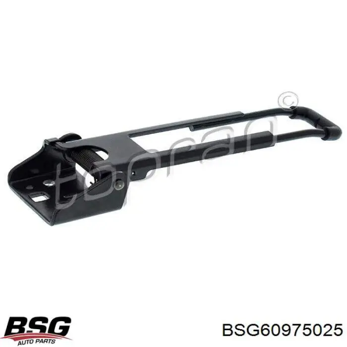 BG72032 Begel обмежувач відкриття дверей багажного відсіку (фургон)