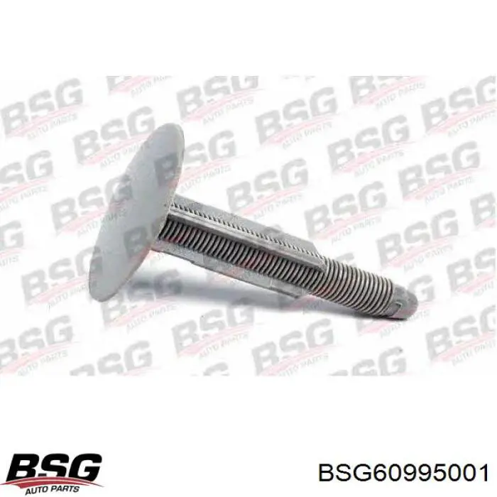 Кліпса (пістон) кріплення молдинга двері BSG 60995001 ціна, від 0.56 USD