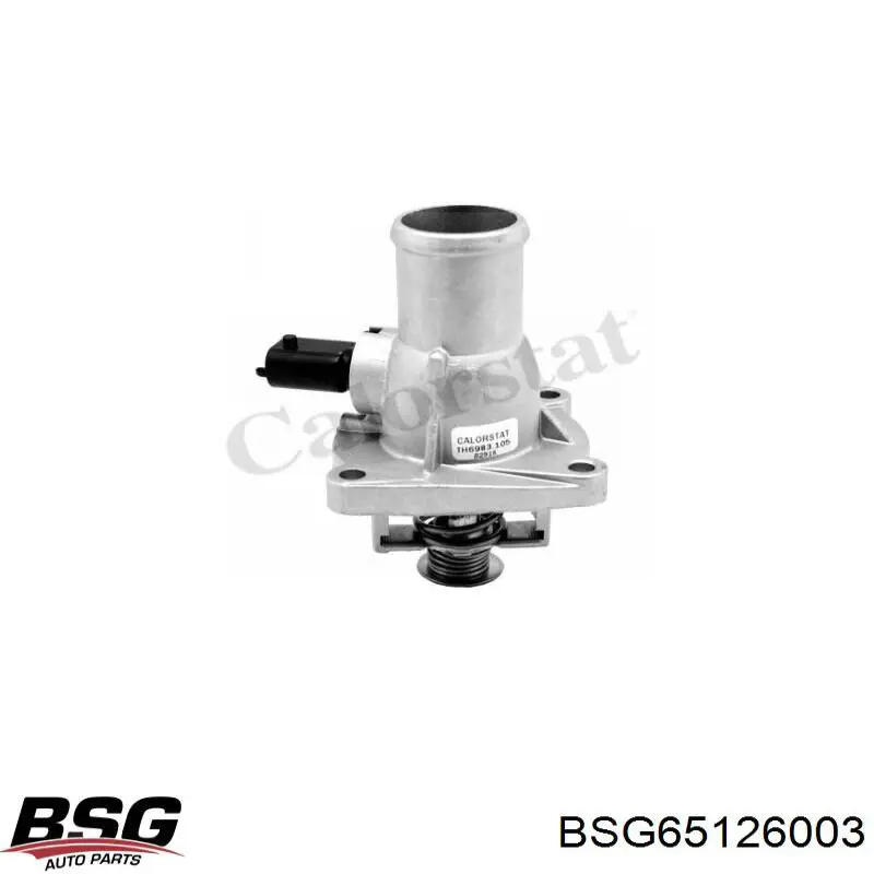 Корпус термостата BSG65126003 BSG