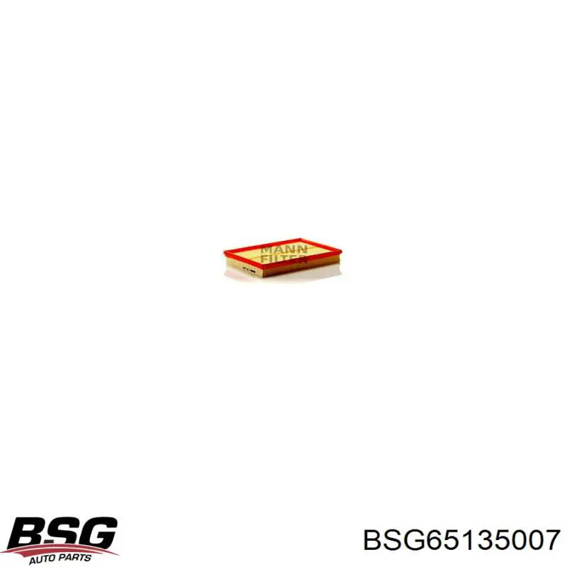 Фільтр повітряний BSG65135007 BSG