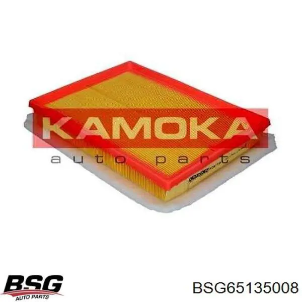 Повітряний фільтр BSG65135008 BSG