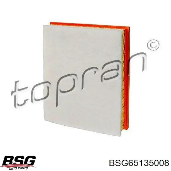 Купити BSG65135008 BSG Автомобільний фільтр повітря