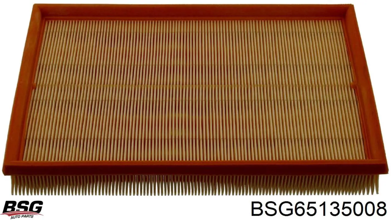 Елемент повітряного фільтра BSG BSG65135008 ціна, від 5.32 USD