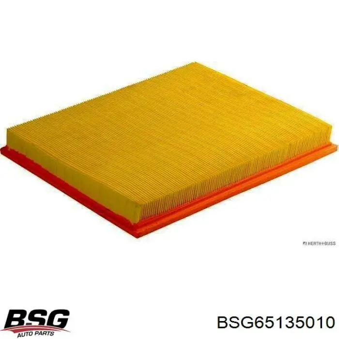 BSG65135010 BSG фільтр повітряний
