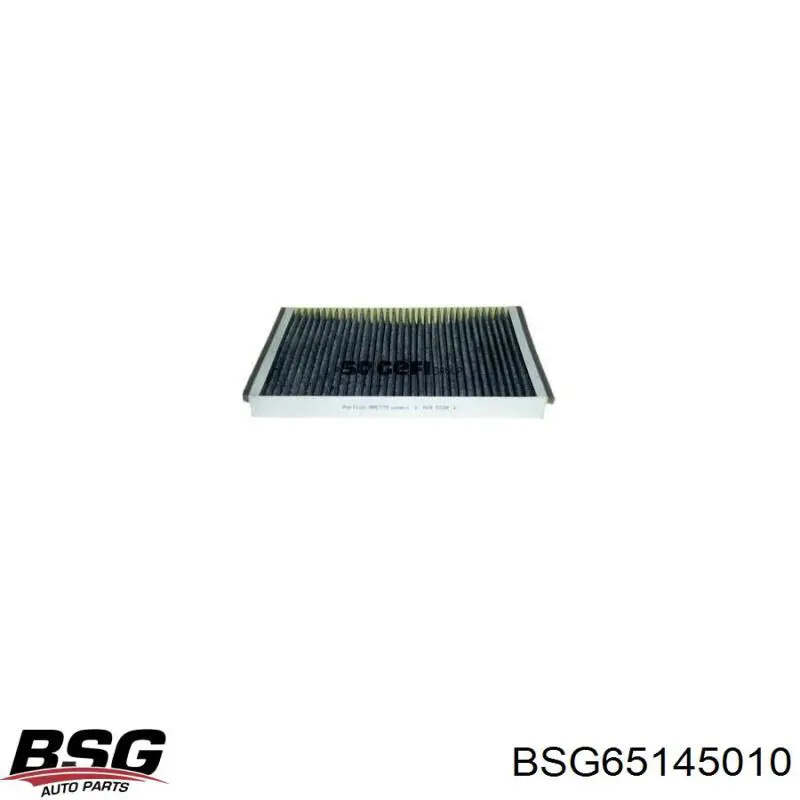 BSG65145010 BSG Внутрішньосалонний фільтр
