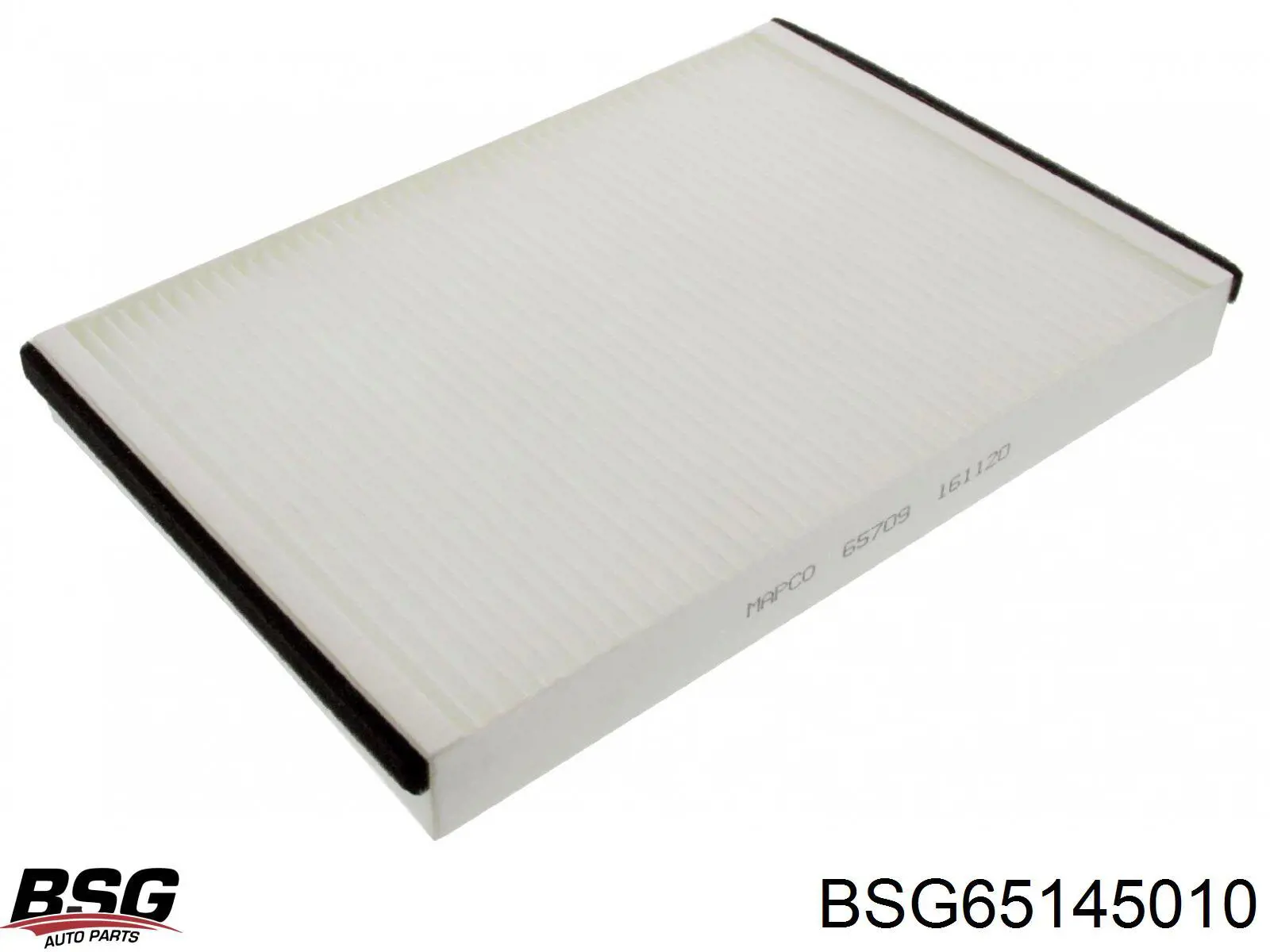 BSG65145010 BSG Внутрішньосалонний фільтр
