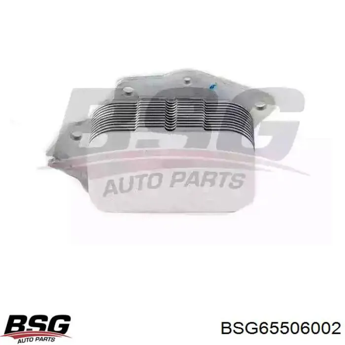 BSG65506002 BSG радіатор масляний