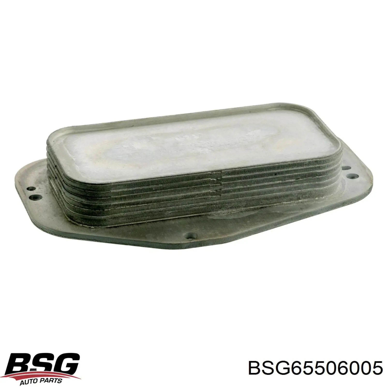 BSG65506005 BSG радіатор масляний