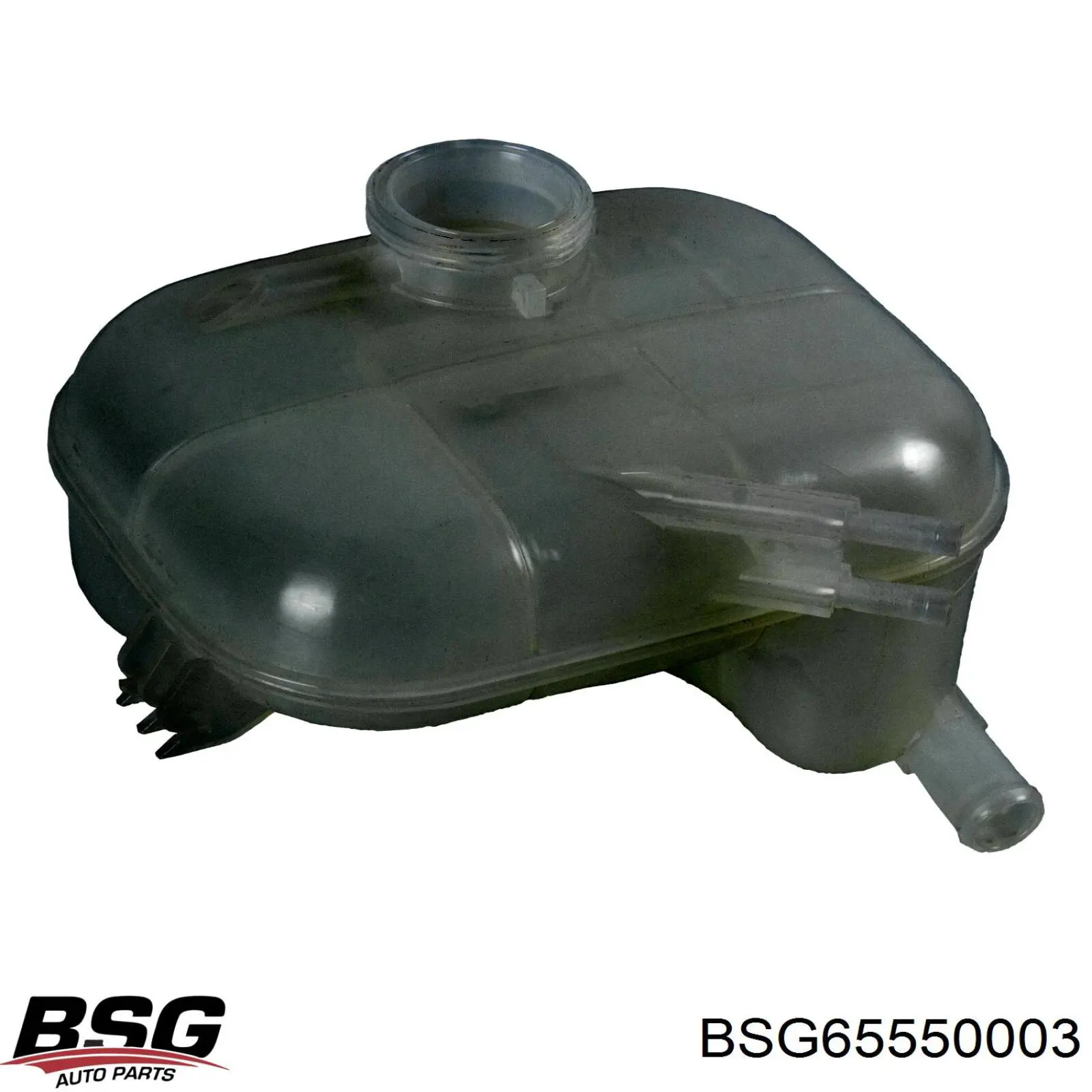 Купити BSG65550003 BSG Водяний бачок системи охолодження