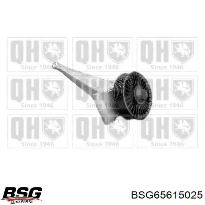 Ролик приводного ременя, паразитний BSG BSG65615025