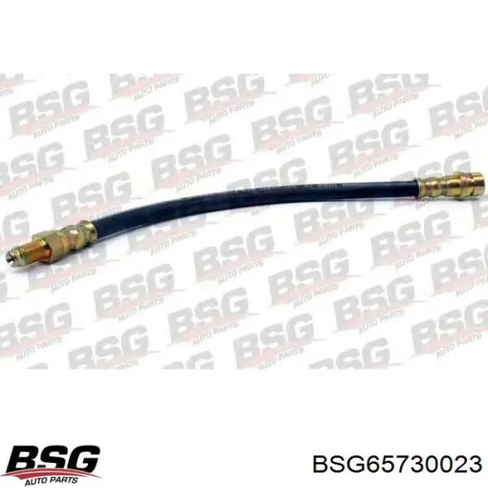 Шланг гальмівний задній BSG65730023 BSG