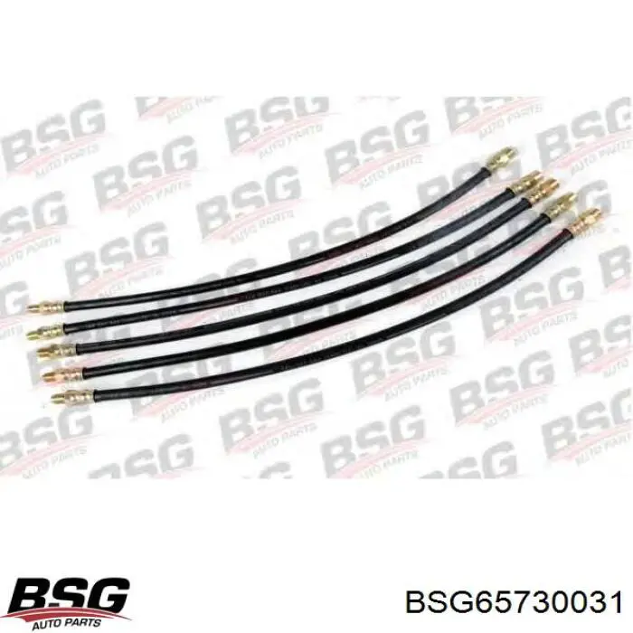 BSG65730031 BSG Шланг гальмівний задній