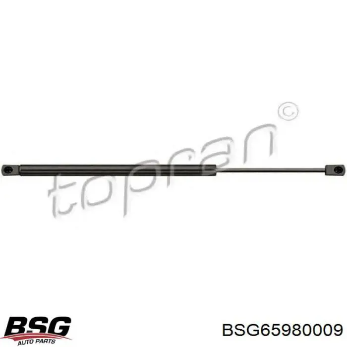 Амортизатор багажника ZSA04038 Ashika