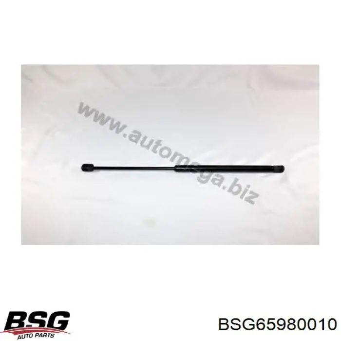Амортизатор двері задньої BSG BSG65980010 ціна, від 10.61 USD
