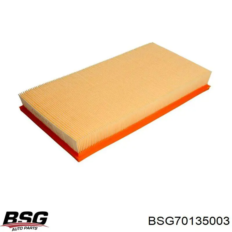 Купити BSG70135003 BSG Автомобільний фільтр повітря