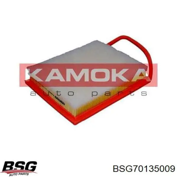 Купити BSG70135009 BSG Автомобільний фільтр повітря