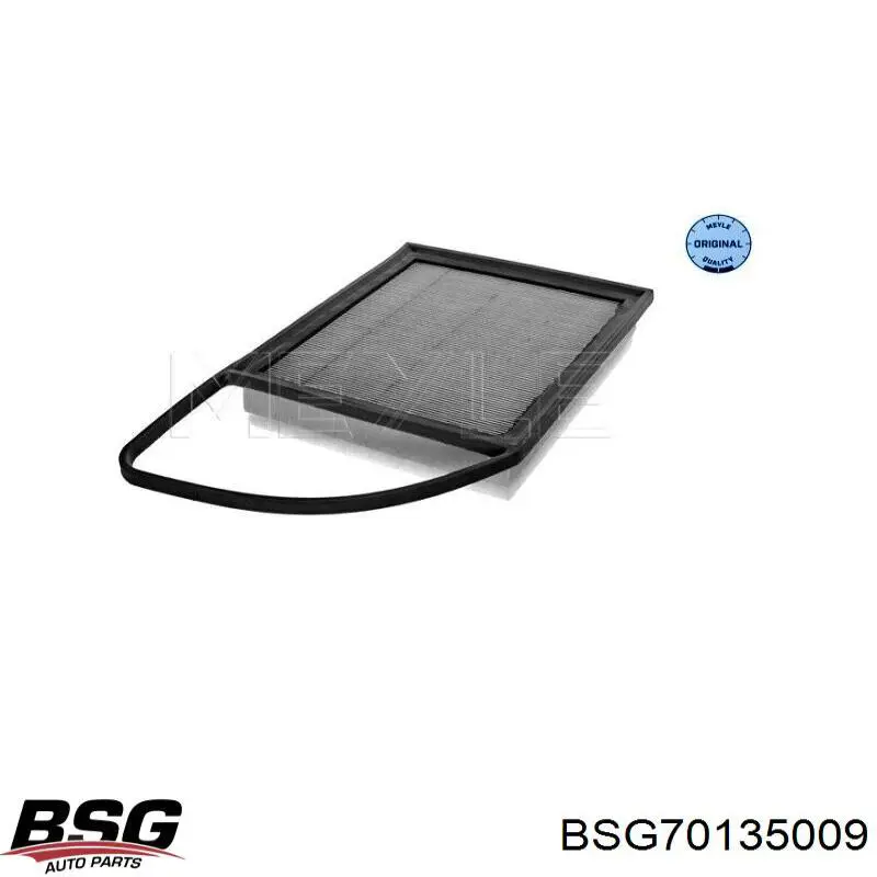 Елемент повітряного фільтра BSG BSG70135009 ціна, від 6.12 USD