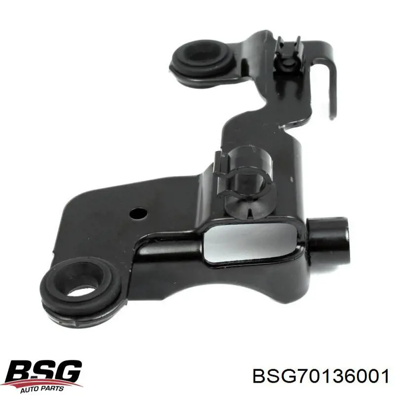 Подушка корпусу повітряного фільтра BSG BSG70136001 ціна, від 2.19 USD