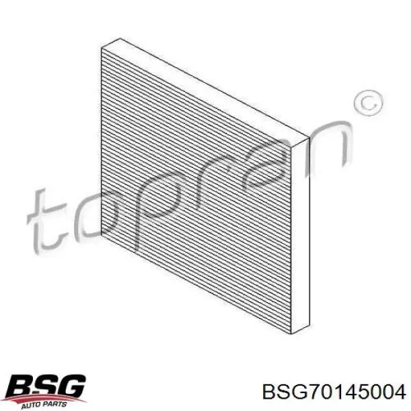 Фільтр повітряний обігрівача BSG BSG70145004 ціна, від 5.71 USD