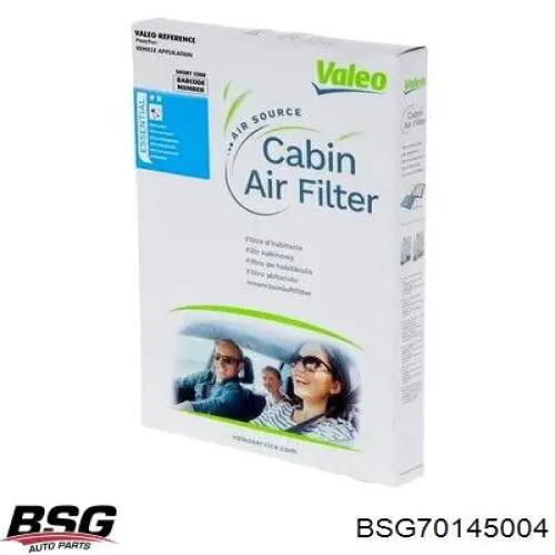Купити BSG70145004 BSG Фільтр салону вугільний