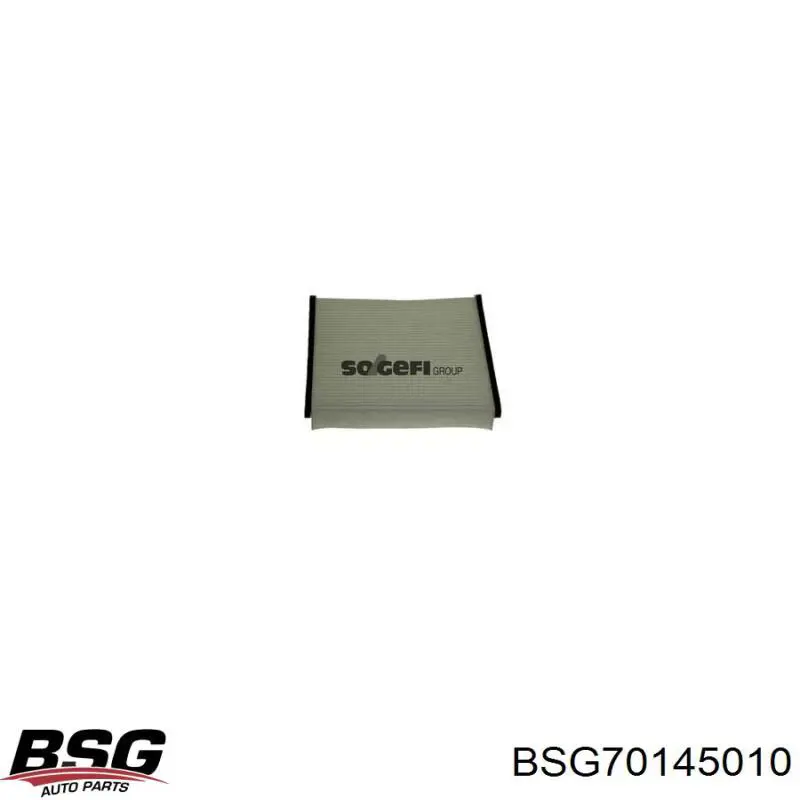Повітряний фільтр салону BSG BSG70145010
