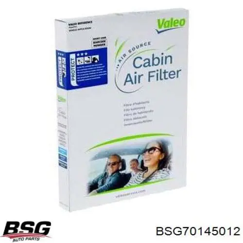 Купити BSG70145012 BSG Фільтр салону вугільний