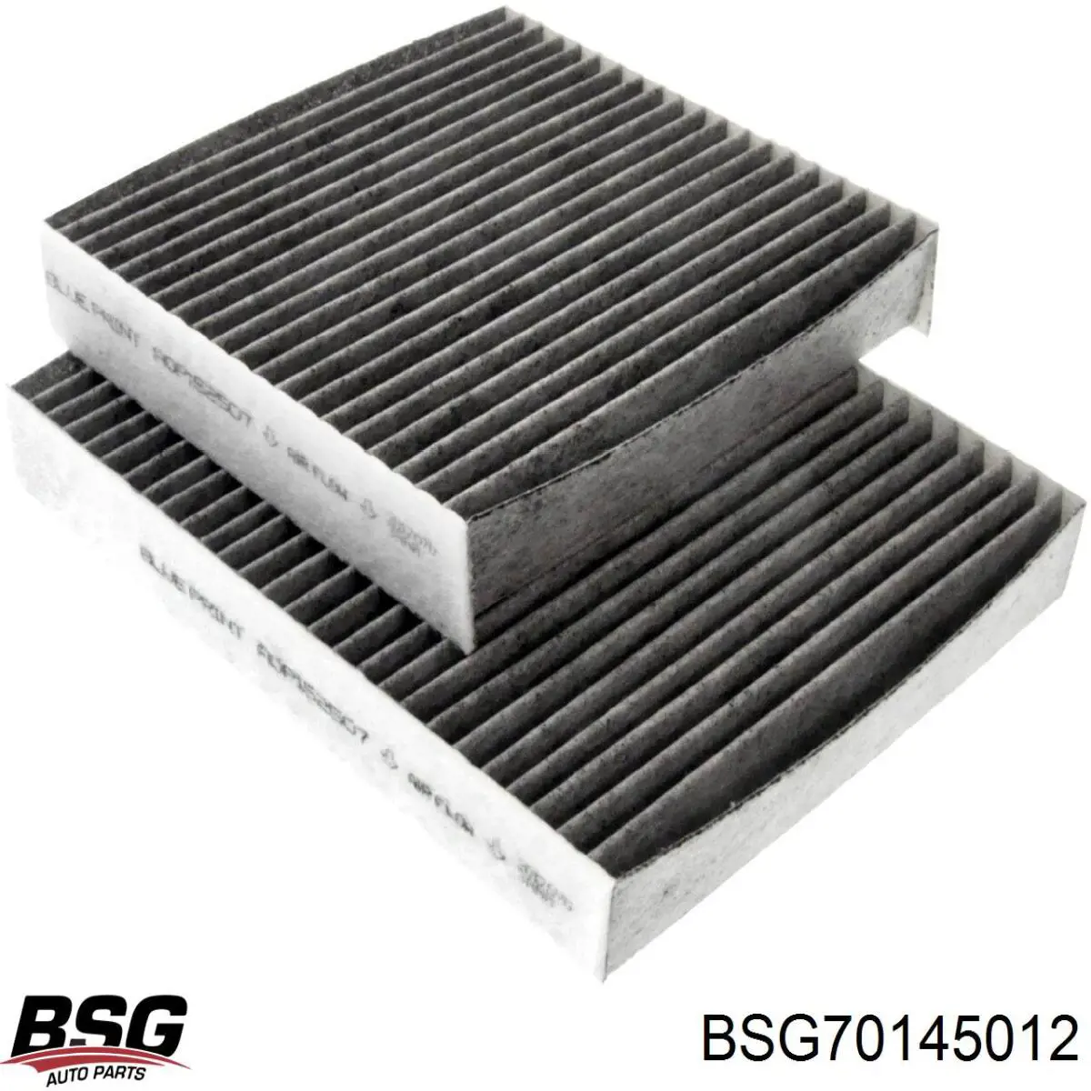 BSG70145012 BSG фільтр салону