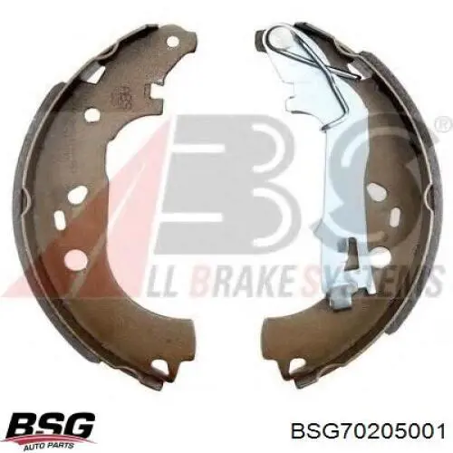 Колодки гальмові задні, барабанні BSG BSG70205001 ціна, від 22.05 USD