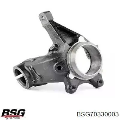 Купити BSG70330003 BSG Цапфа поворотного кулака