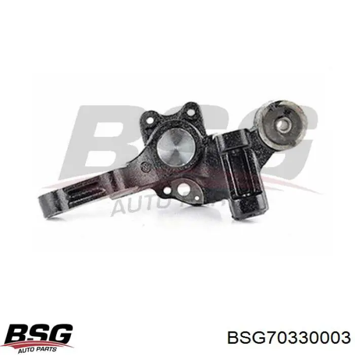 BSG70330003 BSG Цапфа передня ліва