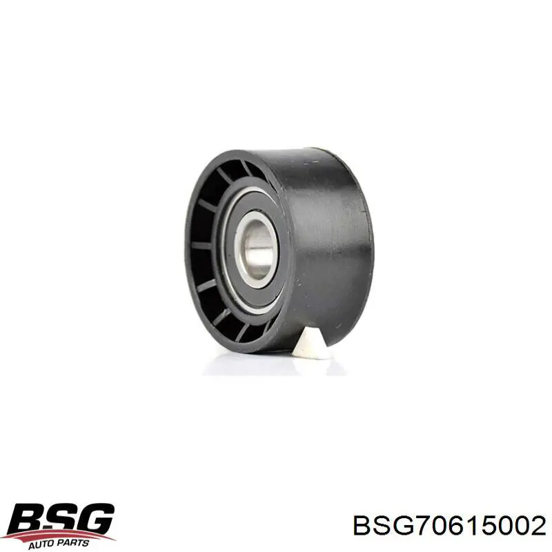 BSG70615002 BSG натягувач приводного ременя