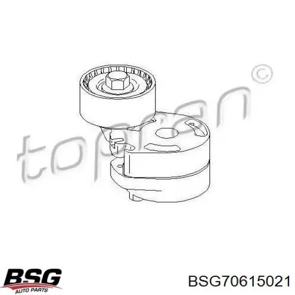 Купити BSG70615021 BSG Натягувач приводного ременя