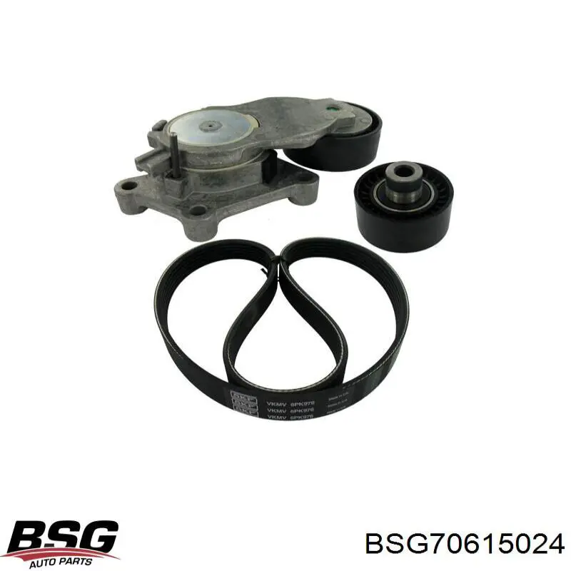 Натяжний ролик BSG BSG70615024 ціна, від 14.53 USD