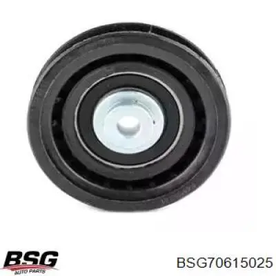 Купити BSG70615025 BSG Ролик приводного ременя, паразитний