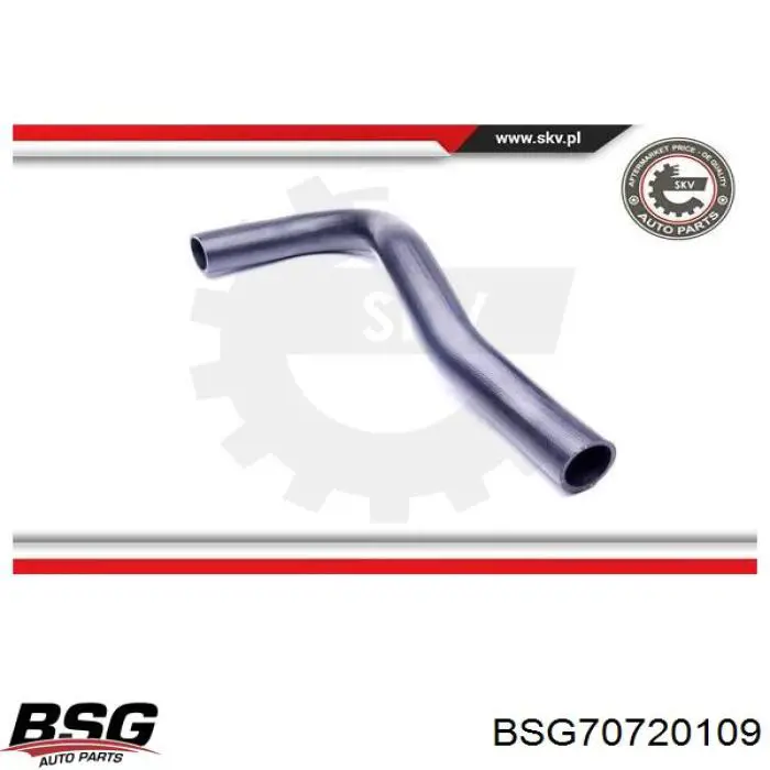 BSG70720109 BSG Трубка, що нагнітається