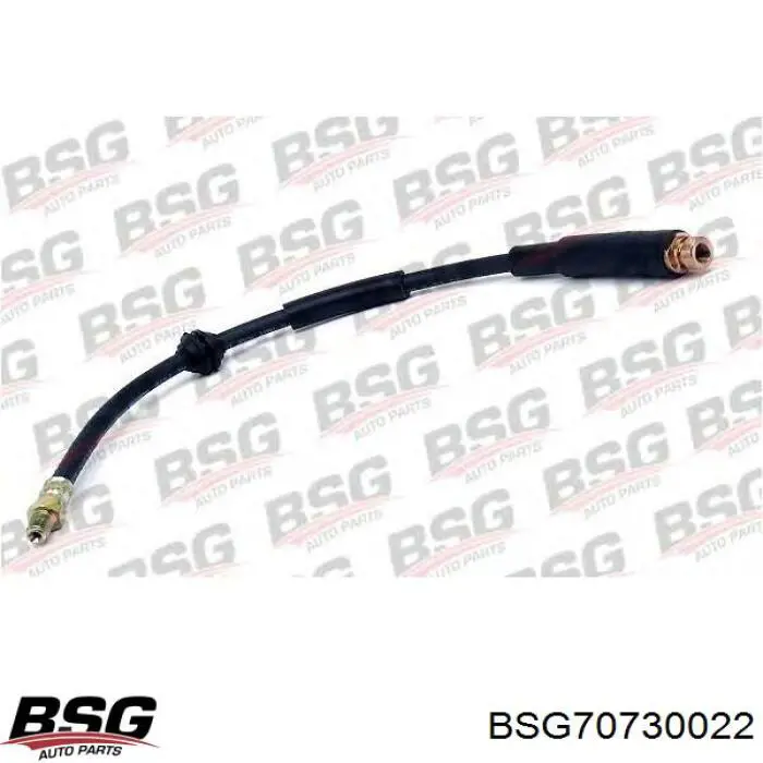 Шланг гальмівний задній BSG70730022 BSG