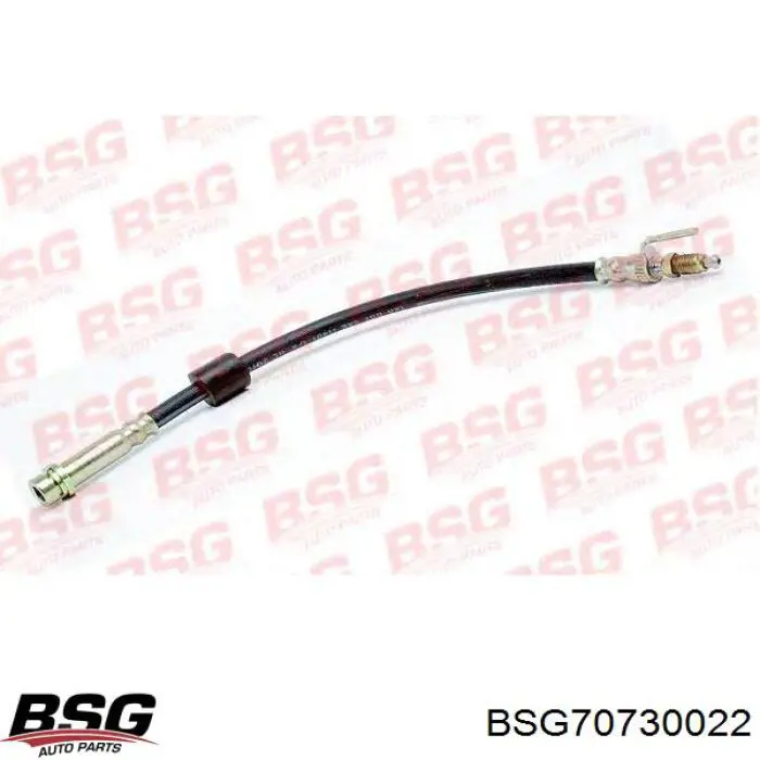 Купити BSG70730022 BSG Шланг гальмівний задній