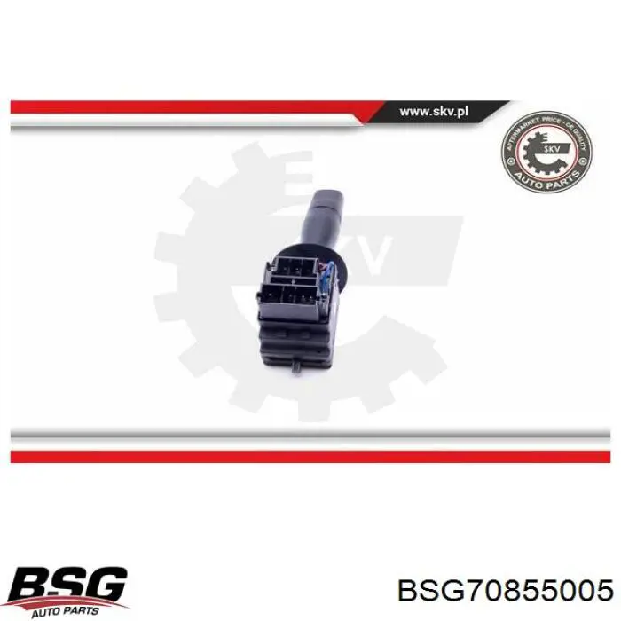 BSG70855005 BSG перемикач підрульовий, лівий