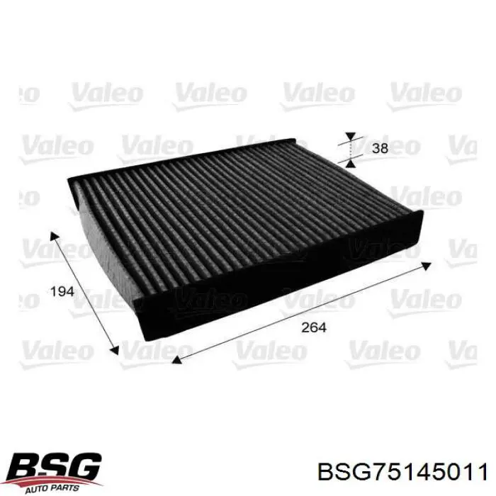 BSG75145011 BSG Внутрішньосалонний фільтр