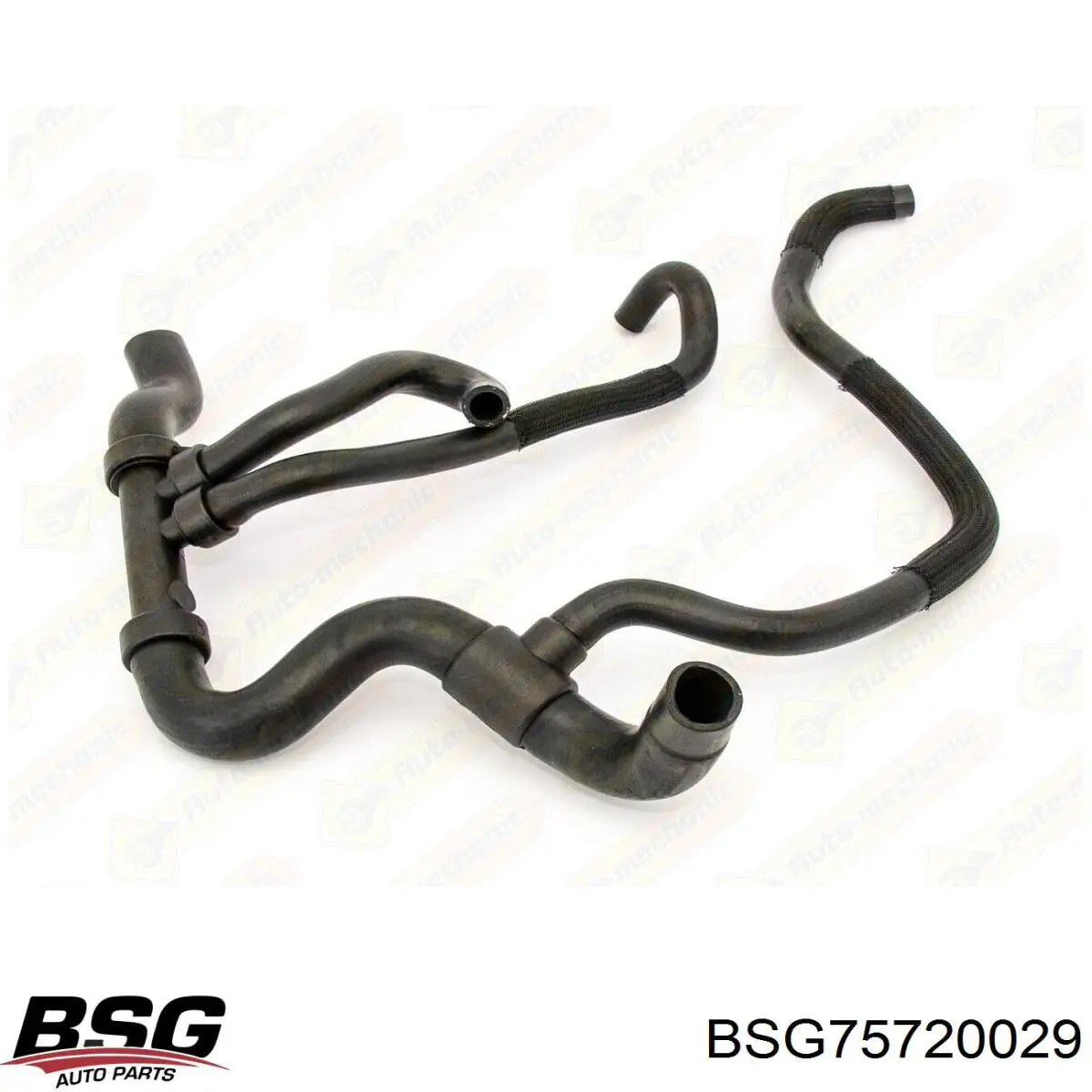 Купити BSG75720029 BSG Шланг/патрубок радіатора охолодження, нижній