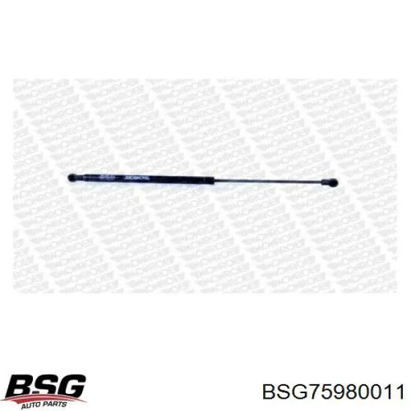 Амортизатор багажника BSG75980011 BSG
