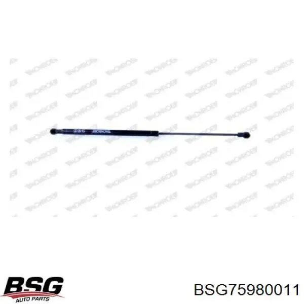 Амортизатор двері задньої BSG BSG75980011 ціна, від 8.75 USD