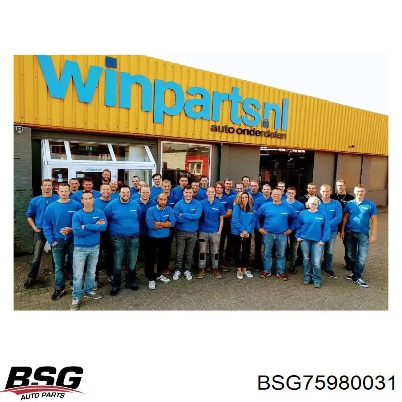 Амортизатор капота газовий BSG BSG75980031 ціна, від 14.18 USD